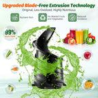 YPONE Cold Press Juicer, Masticating Juicer with 5.4" Wide Feed Chute, 350w Slow Juicer Machines Fit Whole Vegetables and Fruits,Juice Extractor Machine with High Juice Yield, Easy to Clean(Black)