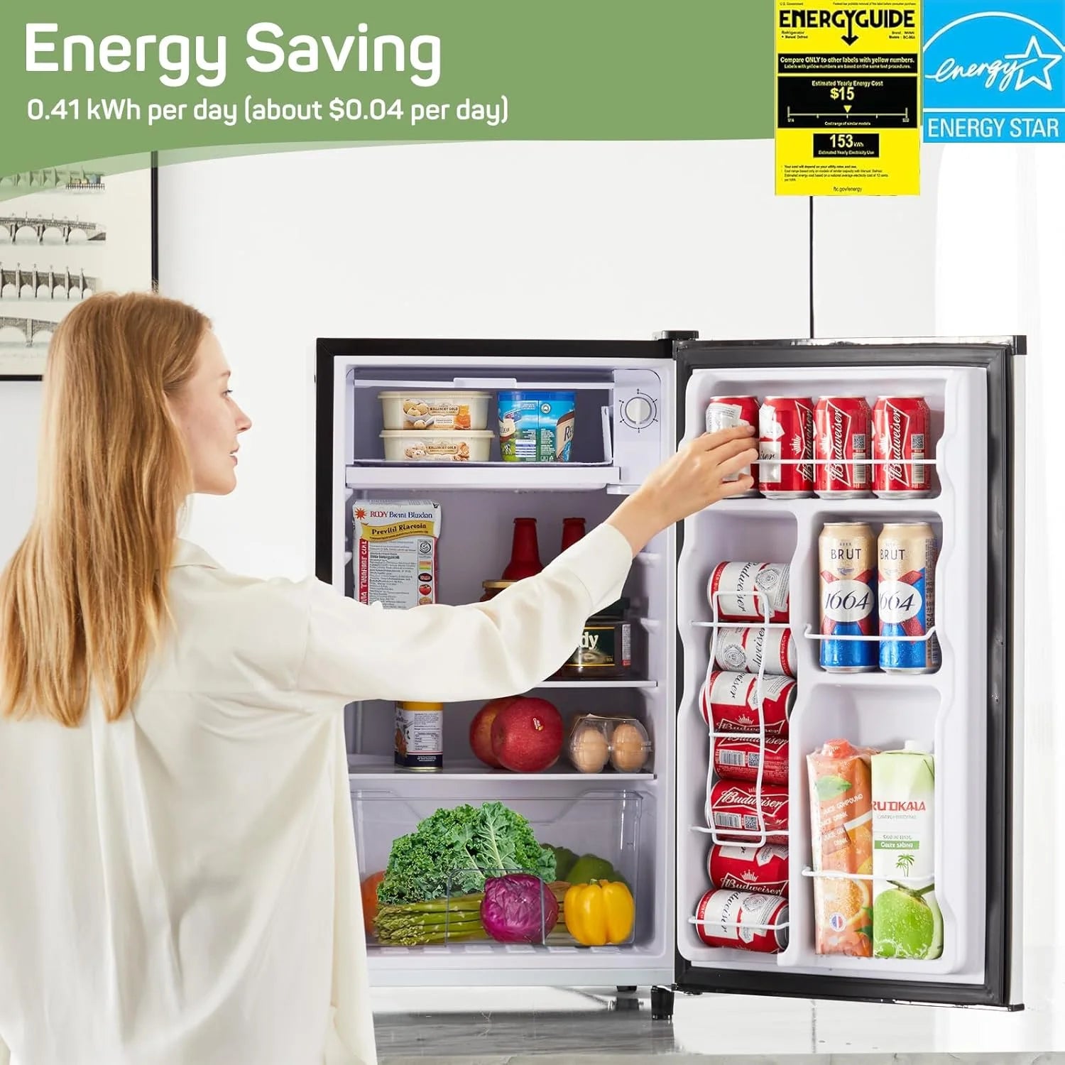 Mini Fridge 3.2 Cu. ft Single Door, 5 Star Energy Efficient, Low Noise, 5 Adjustable Thermostat & Removable Glass Shelves, Silver