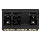ZLINE KITCHEN AND BATH RABZ48CB professional gas range