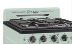 Unique Classic Retro 24" 2.9 cu/ft Freestanding Gas Range with Convection Oven and Sealed Burners
