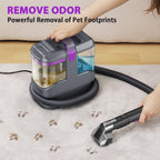 INSE Portable Carpet and Upholstery Vacuum Cleaner, Includes 8.5oz Stain Lifter