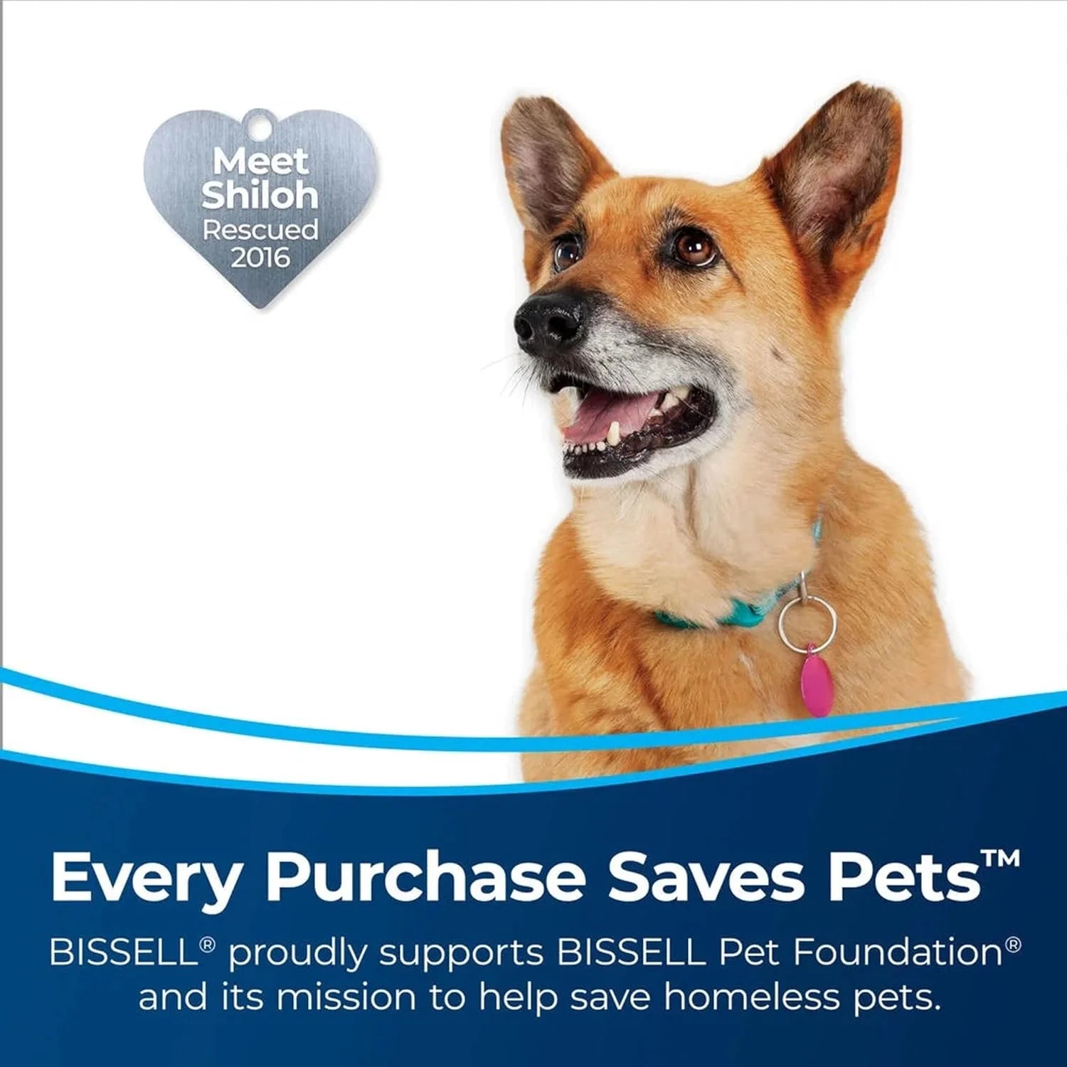 BISSELL Pet Hair Eraser Slim Corded Stick Vacuum, Carpet, Area Rugs, Hard Floor, Upholstery, Lightweight, Swivel Steering, Tangle-Free Brish Roll, 3875, Black