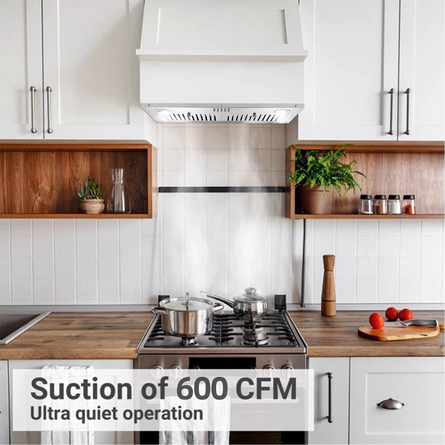 Range Hood 30 inch Insert Vent Hood 600 CFM Built-in Stainless Steel Range Hood Powerful Exhaust Vent Fan
