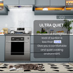 EKON Kitchen Expert 30 inch 900 CFM Convertible Insert Range Hood  with Remote control