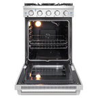 24 in. Freestanding Gas Range with 3.73 cu. ft. Capacity Oven in Stainless Steel